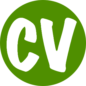 download my CV as a PDF file